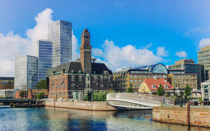 Advanced Course on Gynecological Ultrasound